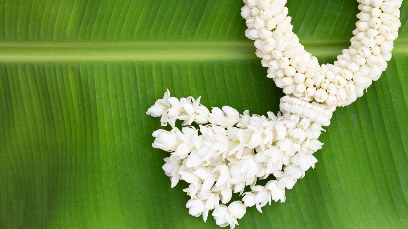 Traditional Jasmine Mala Garland for Religious Ceremonies - Image 3
