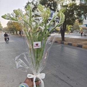 Fresh Green Elegance – Green Flowers in Transparent Wrap"