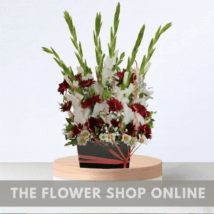 Elegance Embodied Box